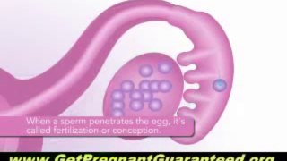 Ways To Get Pregnant - A Review of Pregnancy Miracle