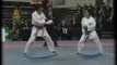 Parcours et Sacre de Nathalie Leroy au Championnat du Monde de Karaté à Madrid en 2002
