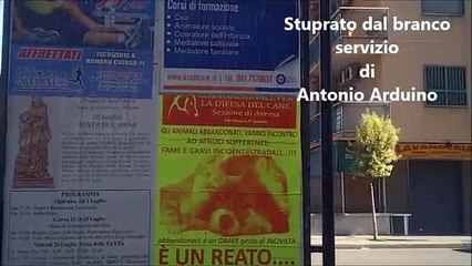 Aversa (CE) - Cagnetta sanguinante al Parco Argo: non era "stupro" (27.07.13)
