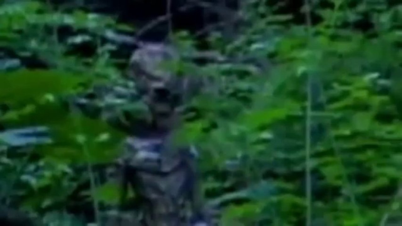 thirdphaseofmoon. Alien Anarchy.Shocking Encounters With Aliens.2013