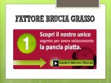 Il Fattore Brucia Grasso Recensione - Recensione Del Programma Fattore Brucia Grasso