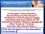 Pregnancy Miracle System   Expecting A Miracle Pregnancy Journal