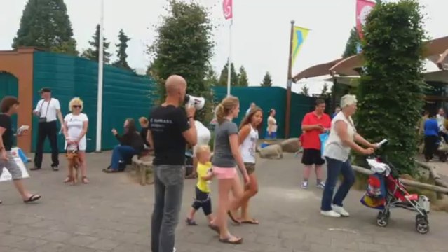 Empty the tanks - Dolfinarium Harderwijk