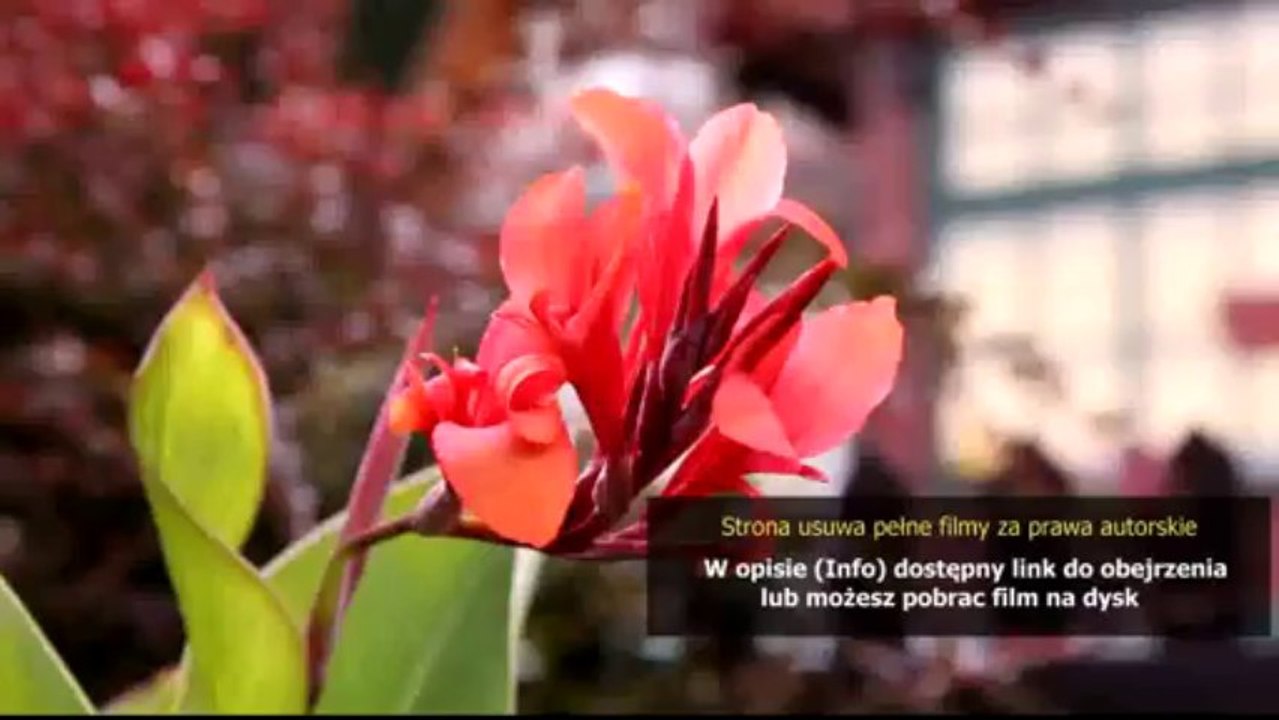 crack do wladca pierscieni bitwa o srodziemie 2 1.06