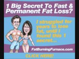 Fat burning furnace free ebook download- Download Fat burning furnace for free