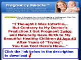 Pregnancy Miracle Free Ebook   Pregnancy Miracle Method