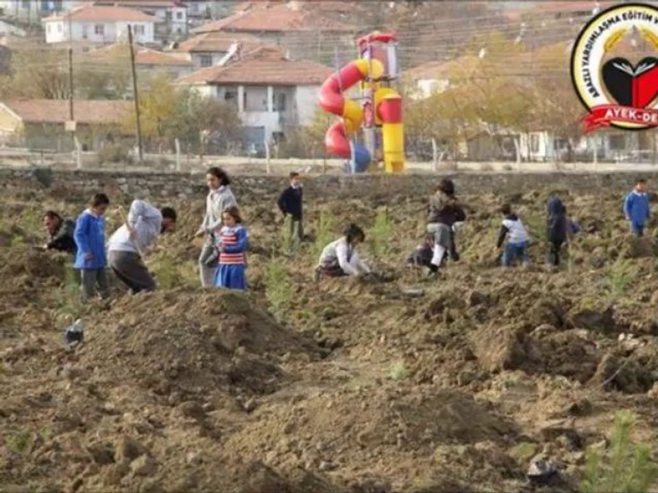 BAYRAM SEKERI
