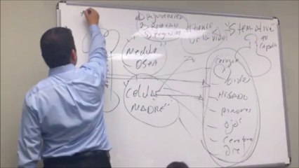 Stem Alive Producto_ Liberador  de  Células  Madre   de Su Propia Medula Osea,100% Natural