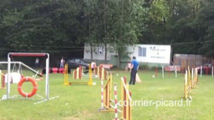 Concours d'agility à Rouvroy (Aisne)