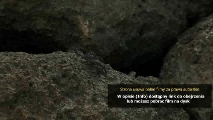 Dobra jakość Uniwersytet Potworny (Monsters University)