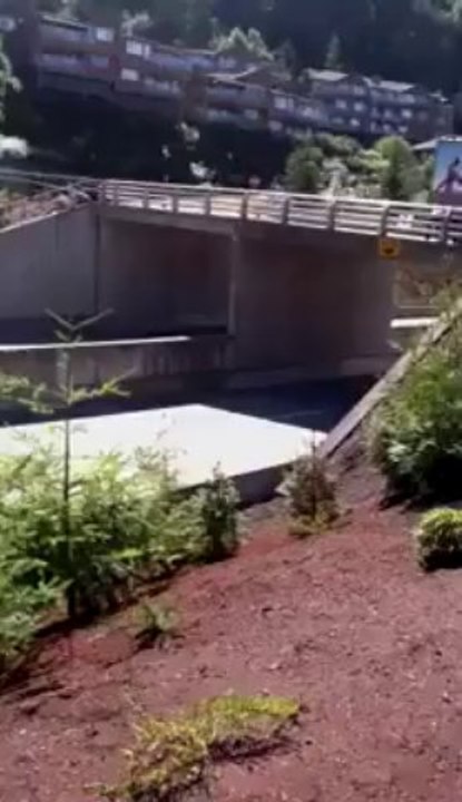 Bark Mulch Blower and Bark Mulch Delivery Installation Service