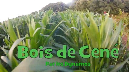 Bois de Cené 2013 - Les Dynamos