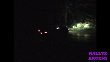 RALLYE DES FOURMES 2013