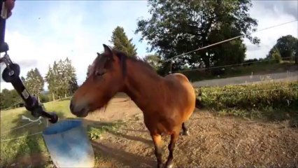 Aramis - Saut en liberté - 28.07.2013