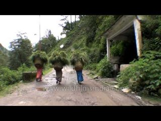 Damaged houses on the way to Tilwara