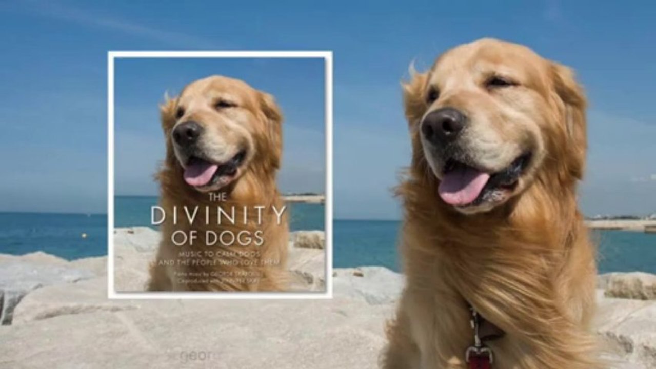 Song: Reflections / Album: The Divinity of Dogs / Artist: George Skaroulis