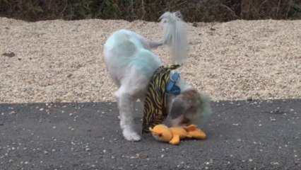 Song: Unchained Melody / Album: Songs For Sophie / Artist: George Skaroulis