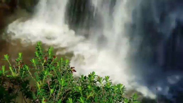 Song: Esalen / Album: Harmony / Artist: Michael Benghiat