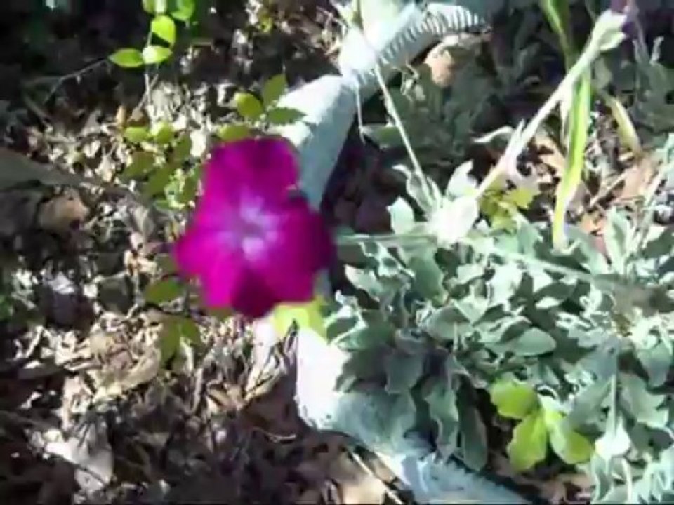 Marina Elali...Eu Vou Seguir (trilha Sete Pecados)