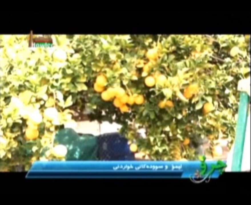 barnamay lagal chro.hawler tv kurdish28.07.2013