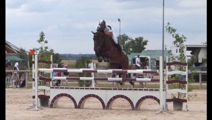 POT D'AMOUR CSO d' haziel le 28 07 2013 épreuve 1m35 4em place