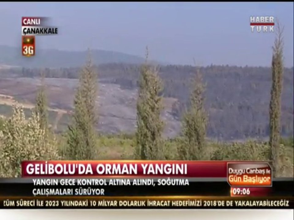 Gelibolu'da 100 hektar alan kül oldu