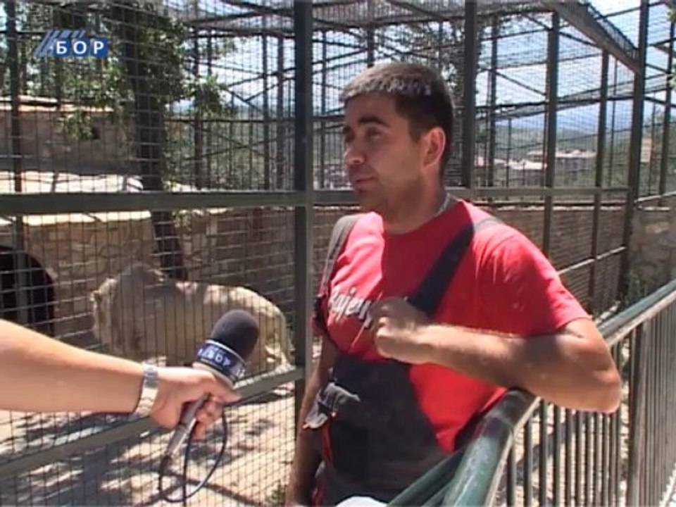 Zeleni ekran, 28. jul 2013.
