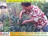 Máy ép hoa quả cao cấp ][ Juicing Apples and Kale in the Hurom Slow Juice Extractor by DiscountJuicers][com (part 2 of 2)]