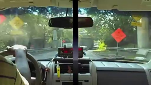 Follow me around NYC!!!!!!!