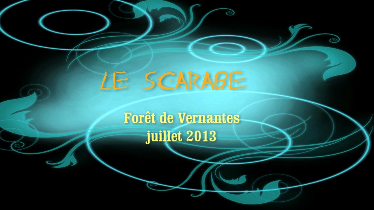 Le Scarabe