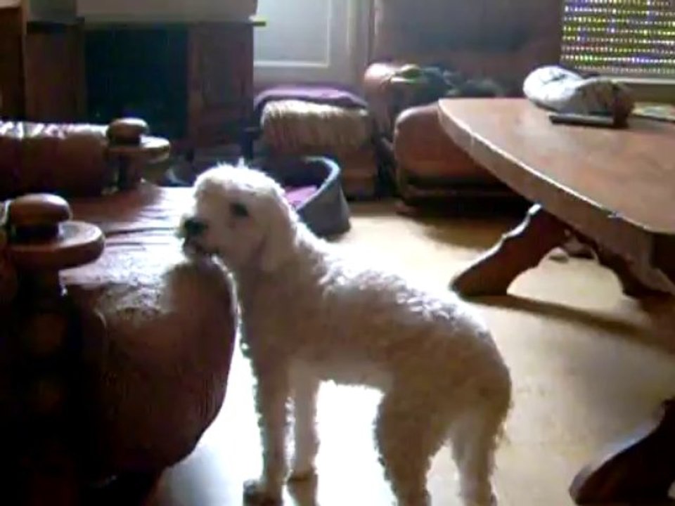 VIDEO FLOCKY 28 07 2013