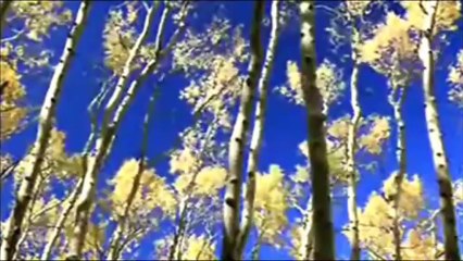 Mercan Dede   Napas .