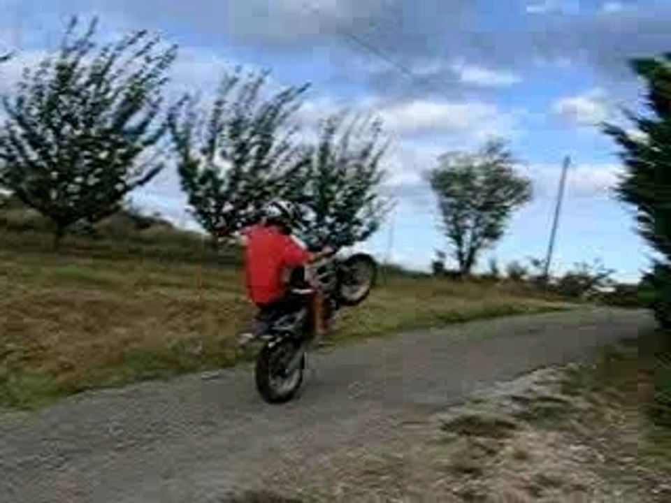 WEELHING 50cc