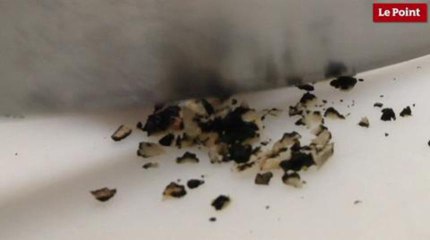 Le Mont Ventoux grimpe pour le tartare à la truffe blanche d'été