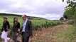 Château de Corton André : dégustation de vins au cœur du village d’Aloxe-Corton, terre de Grands Crus