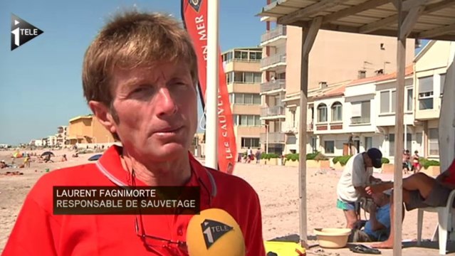 Plages : les consignes à respecter