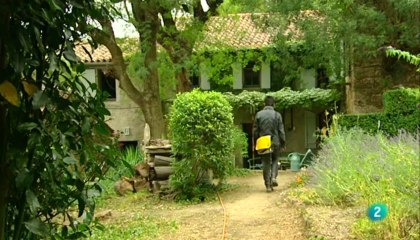 La mitad invisible - Un chien andalou