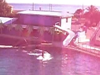 marineland