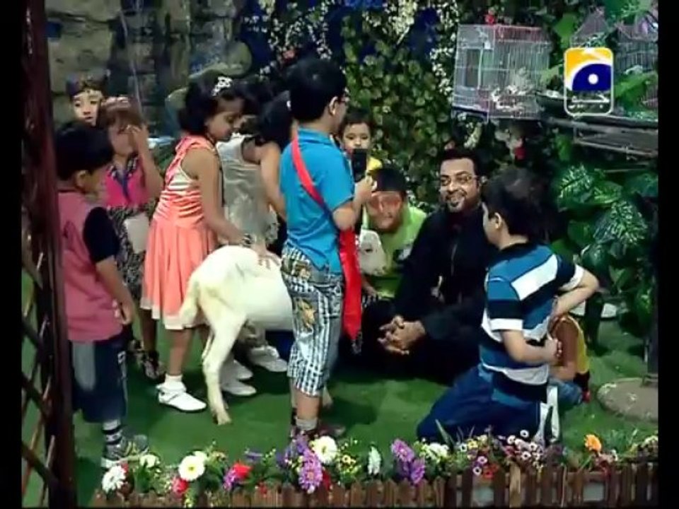 19th Sehri Charind Parind Part 1 in Amaan Ramazan with Aamir Liaquat 1434h 29-7-2013 -003