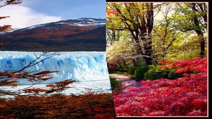 Otono en la Patagonia Argentina (PP) [720p]