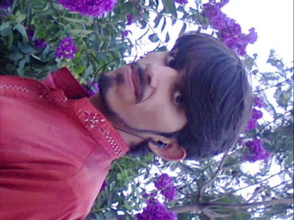 sunny new song