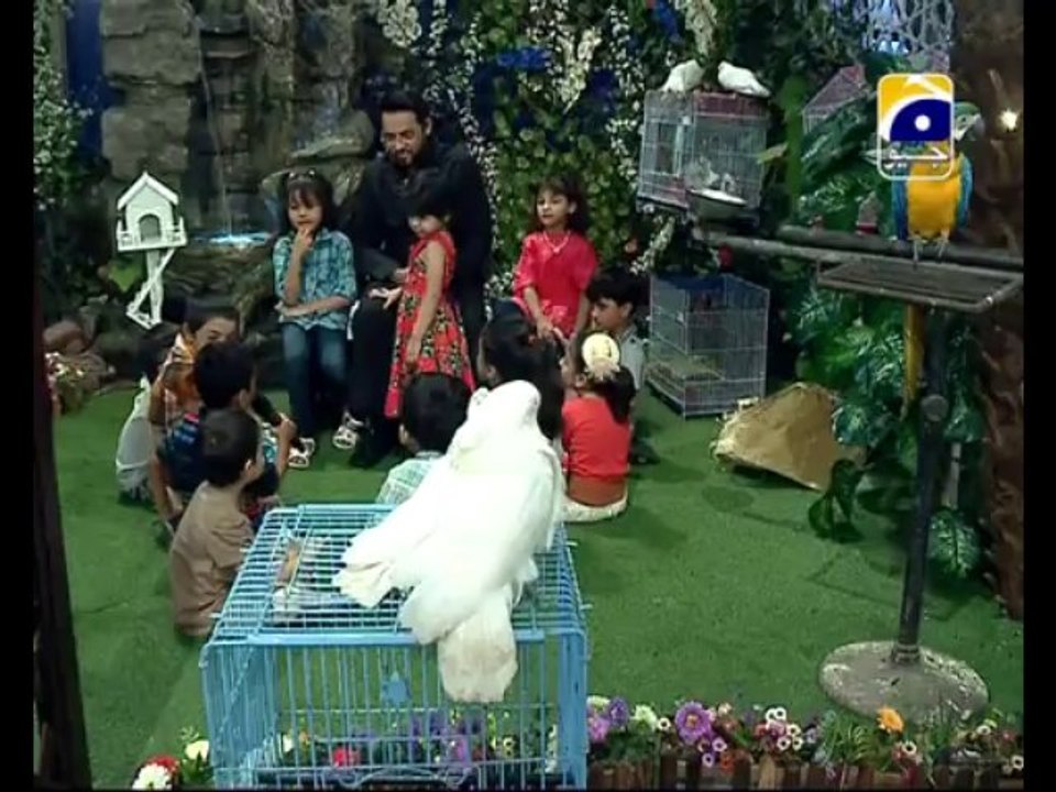 19th Iftari Charind Parind Part 1 in Amaan Ramazan with Aamir Liaquat 1434h 29-7-2013 -002
