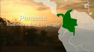 Panamá : business dans la jungle