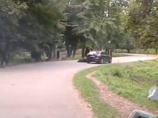 ZOO DE THOIRY-BISONS ET OURS BRUN COUCHE SUR LA ROUTE