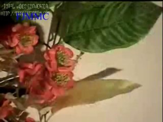 Hafiz M Masood Sialvi,Naat.Apki shan hai kia shan Rasool e Arabi