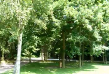 Le Havre Porte Océane "Balade Havraise"