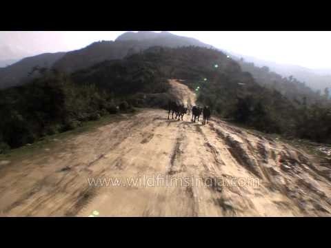 Heavily damaged road from Guptkashi to Devprayag