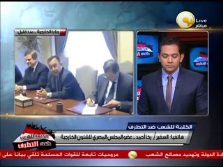السفير رخا أحمد حسن: زيارة آشتون للإطمئنان على تطورات الأوضاع بمصر
