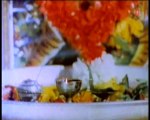 Mata Ke Darbaar Jyoti Jal Rahi Hai (Part - 2) Full Song _ Teri Pooja Kare Sansar