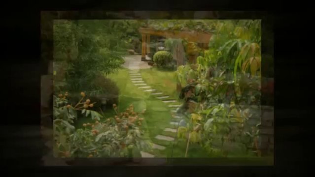 Lassiter Mill Gardens Inc (919) 782-9181